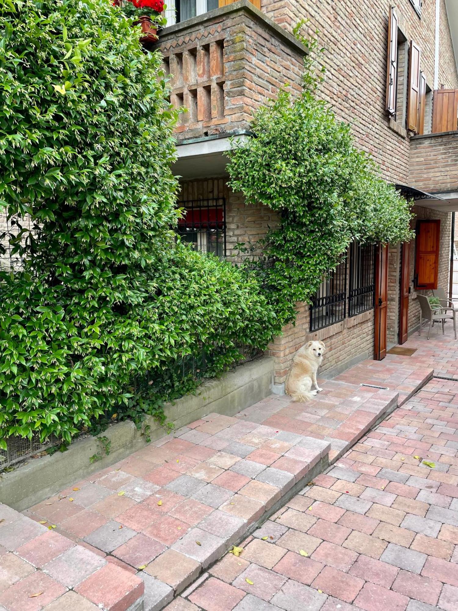Casa Matilde Piano Terra 100Mq Con Parking E Piscina Διαμέρισμα Φεράρα Εξωτερικό φωτογραφία